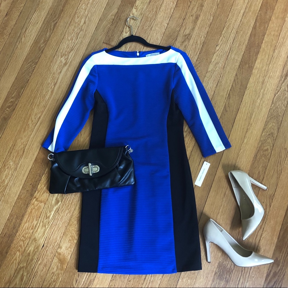 Blue Sandra Darren Dress
